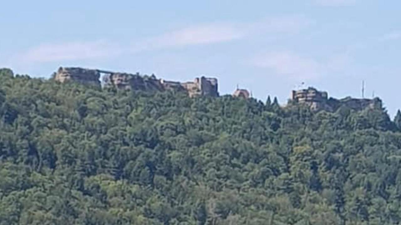 Casasavernoise O Sonho Appart2 سافيرن المظهر الخارجي الصورة