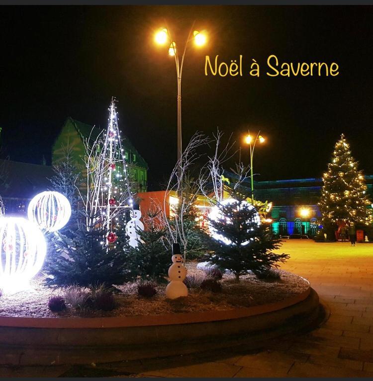 Casasavernoise O Sonho Appart2 سافيرن المظهر الخارجي الصورة